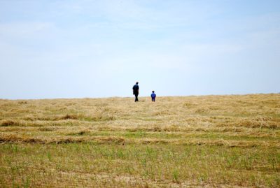 Farmfield with a father and son walking
